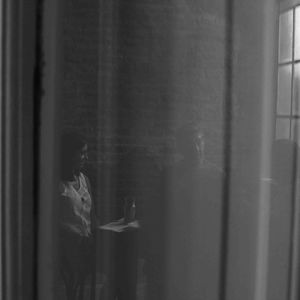 Img 4532